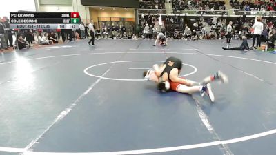 113 lbs Consi Of 8 #2 - Peter Annis, Suffield/Windsor Locks vs Cole Desiano, Ridgefield