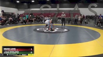 85 lbs Placement Matches (8 Team) - Brodey Lewis, Thorn Wrestling (MN) vs Logan Rowlands, CP Wrestling Academy