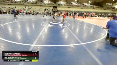 100 lbs Semifinal - Hector Cardoza, Wright City Jr Wildcats Wrestling-A vs Keiston Charles, Richmond Youth Wrestling Club-AA