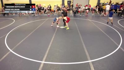 110 lbs Cons. Round 3 - Benjamin Bertelsman, IL vs Asher Hellmann, SD