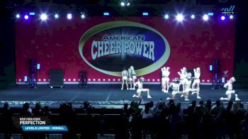 New York Icons - Perfection [2025 L6 Limited - XSmall Day 2] 2025 Cheer Power Grand Nationals