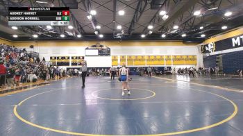 100 lbs Pigtails - Audrey Harvey, Elizabeth Forward vs Addison Horrell, Derry Area
