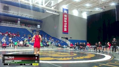 100 lbs 2nd Wrestleback (16 Team) - Julia Carcamo, Gainesville vs Avery Nolan, Houston County