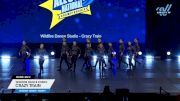 Wildfire Dance Studio - Crazy Train [2025 Senior - Variety Day 2] 2025 UCA & UDA All Star National Championship