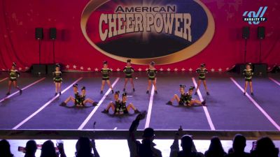 Westchester All Stars - Daisies [2025 L1 Tiny - Novice - Restrictions Day 1] 2025 Cheer Power Trenton Showdown