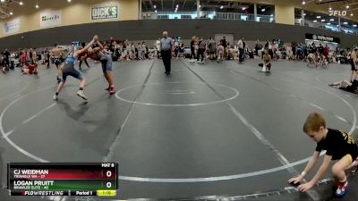 110 lbs Round 3 - CJ Weidman, Triangle WA vs Logan Pruitt, Brawler Elite