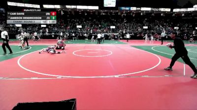 95 lbs Champ. Round 2 - Cam Davis, CPWA vs Jameson Hendrickson, JTCA