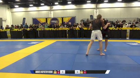 Joseph D Lienhard vs Andrzej Krzysztof Debski 2024 World IBJJF Jiu-Jitsu No-Gi Championship