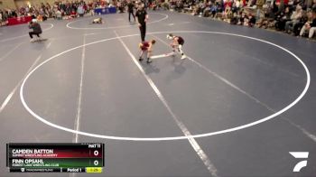 58 lbs Cons. Round 2 - Camden Batton, Summit Wrestling Academy vs Finn Opsahl, Forest Lake Wrestling Club