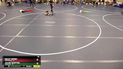 56 lbs Quarterfinals (8 Team) - Jacob Skapyak, Lakeville vs Wiley Derby, Northfield