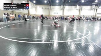 132 lbs 3rd Place - Jordan Harrison, Lake Gibson vs Roberto De Jesus, Lake Gibson