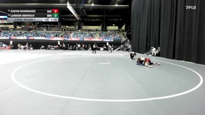 157 lbs Cons. Round 2 - 14 Brice Coleman, Cumberlands vs Emmanuel Celestine, Lindsey Wilson