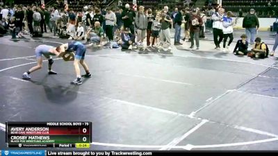 75 lbs 1st Place Match - Crosby Mathews, Black Fox Wrestling Academy vs Avery Anderson, Bear Cave Wrestling Club