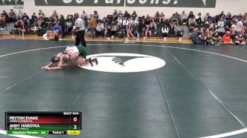 132 lbs Champ. Round 1 - Andy Maroyka, St. John Paul II vs Peyton Evans, James Clemens HS