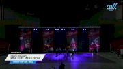 Dance Dynamics - Mini Elite Small Pom [2024 Mini - Pom - Small Day 1] 2024 Just Dance Houston Showdown