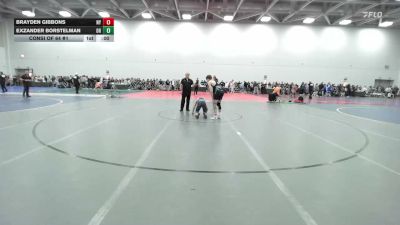113 lbs Consi Of 64 #1 - Brayden Gibbons, NY vs Exzander Borstelman, OH