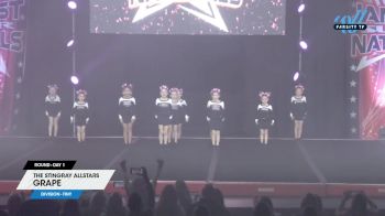The Stingray Allstars - Grape [2025 L1 Tiny Day 1] 2025 JAMfest Cheer Super Nationals