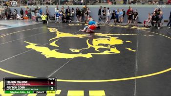 83 lbs Semifinal - Mason Malone, Lions Den Wrestling Club vs Peyton Cobb, Soldotna Whalers Wrestling Club