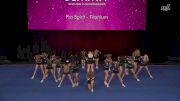 Pro Spirit - Titanium [2026 L2 Junior - Flex - D2 - Small B Wild Card] 2026 The D2 Summit