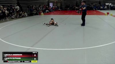 45 lbs Cons. Round 2 - Camdyn Elfmann, ANML vs Lincoln Anderson, DGF