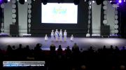 Dynasty Dance Studio - Dynasty Dance Tiny Elite [2026 Tiny - Intermediate - Contemporary/Lyrical Day 2] 2026 ASCS Dance Grand Nationals & Cheer Nationals