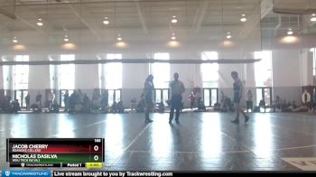 165 lbs Quarterfinal - Jacob Cherry, Roanoke College vs Nicholas DaSilva, WVU Tech (W.Va.)
