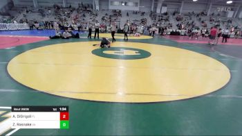 132 lbs Round Of 32 - Andres DiGrigoli, FL vs Zachary Rasnake, VA