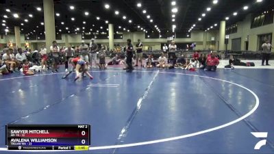 92 lbs Placement (4 Team) - Avalena Williamson, Trojan WA vs Sawyer Mitchell, AR- 15