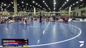 92 lbs Placement (4 Team) - Avalena Williamson, Trojan WA vs Sawyer Mitchell, AR- 15