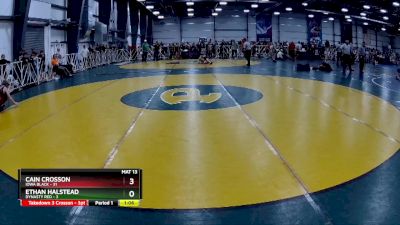 100 lbs Rd# 7- 10:45am Saturday Final Pool - Cain Crosson, Iowa Black vs Ethan Halstead, Dynasty RED