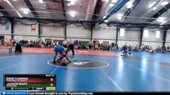 157 lbs Cons. Round 2 - Jackson Rolfs, Upper Iowa vs David Cushman, Wisconsin-Platteville