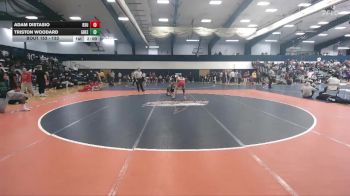 133 lbs Cons. Round 1 - Adam Distasio, Bridgewater State vs Triston Woodard, Greensboro