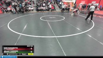 113 lbs Semifinal - Bruno Cassioppi, Rockton (Hononegah) vs Dom Munaretto, St. Charles (EAST)