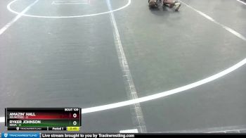 48 lbs Quarterfinal - Amazin` Hall, Roundtree vs Ryker Johnson, Nbwa