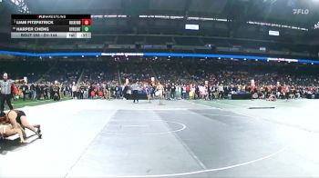 D1-144 lbs Cons. Round 2 - Harper Cheng, Byron Center vs Liam Fitzpatrick, Rockford