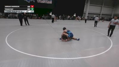 132 lbs Cons. Sub-rd Of 32 - Jordan Harrison, Lake Gibson High School Wrestling vs Tegan Ray, Iowa