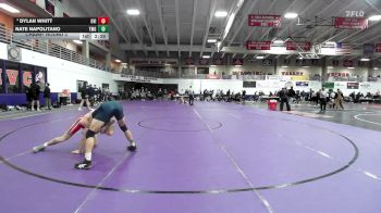 165 lbs Champ. Round 3 - Nate Napolitano, Truett-McConnell (Ga.) vs Dylan Whitt, Grand View (Iowa)