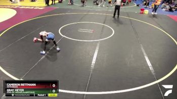 55 lbs Quarterfinal - Cameron Rettmann, Hutchinson vs Gray Meyer, STMA (St. Michael/Albertville)