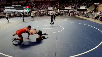 D 2 157 lbs Quarterfinal - Dominic Joppa, Lakeshore vs Hayden Bell, North DeSoto