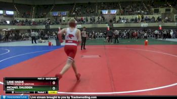 115 lbs Quarterfinal - Michael Daleiden, Ringers vs Lane Hague, Victory School Of Wrestling