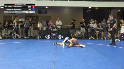 115 lbs 5th Place Match - Maximilian Truong, NOVA WC vs Emmett Williams, Darkhorse