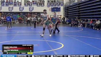 165 lbs Champ. Round 3 - Dalton Wolfrum, TINORA vs Kasen Wellman, AYERSVILLE