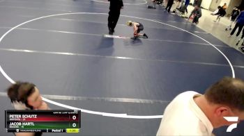 80 lbs Finals (2 Team) - Coleman McNutt, Wayzata vs Levi Zierden, Rogers