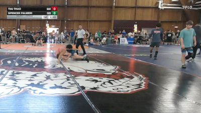 135 lbs Semifinal - Tiaj Thao, Davie High School/ Combat Athletics vs Spencer Palmeri, Fairport