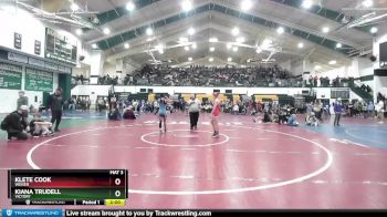 110 lbs Quarterfinal - Klete Cook, Weiser vs Kiana Trudell, Victory