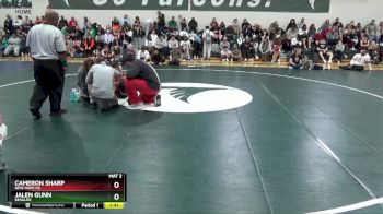 113 lbs Semifinal - Jalen Gunn, Deshler vs Cameron Sharp, New Hope HS