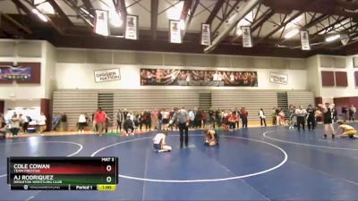 108 lbs Cons. Round 2 - AJ Rodriquez, Brighton Wrestling Club vs Cole Cowan, Team Prestige