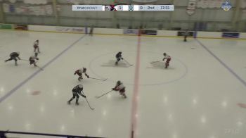 Replay: Home - 2025 Steelers vs Ice White U15 | Mar 8 @ 4 PM