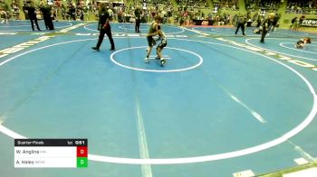 64 lbs Quarterfinal - William Angline, Pin-King All Stars vs Alden Haley, Broken Bow Youth Wrestling