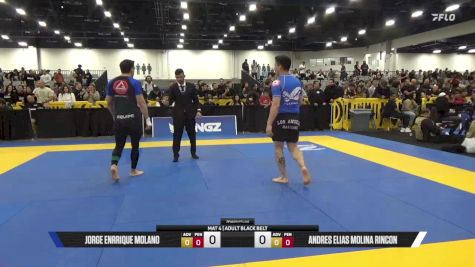 Andres Elias Molina Rincon vs Jorge Enrrique Molano 2025 World IBJJF Jiu-Jitsu No-Gi Championship
